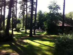 Wendover Woods